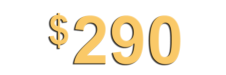 290_per_month